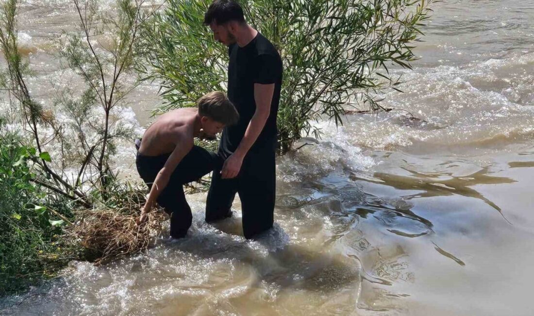 Siirt’te Kezer Çayı’nda akıntıya kapılan 3 çocuktan 2’si kurtarılırken, 1’ini