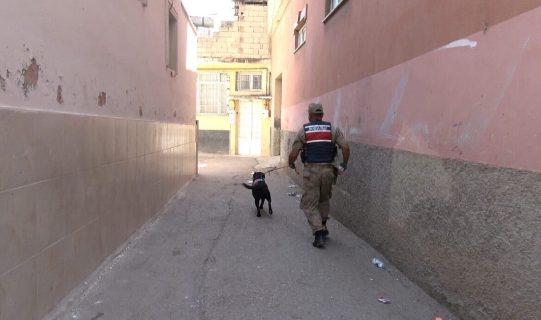 Kilis’te dün akşam saatlerinde kaybolan 2 yaşındaki kız çocuğu her