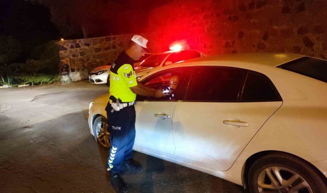 Kilis İl Jandarma Komutanlığı Trafik Jandarması timleri, sürücülere yönelik alkol