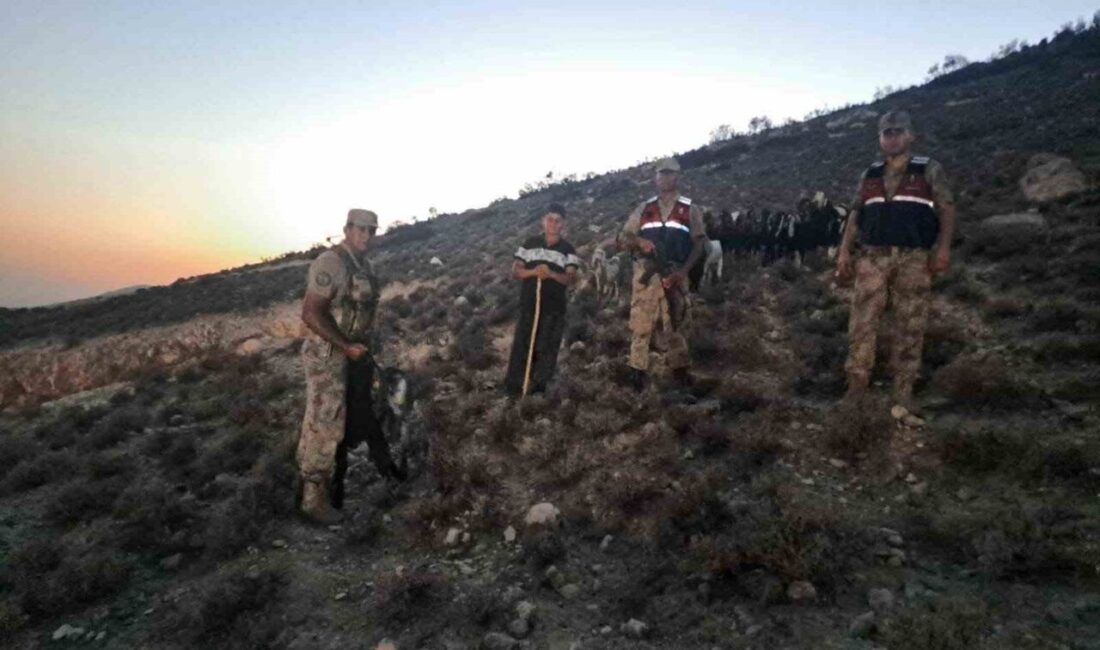 Kilis’in Polateli ilçesine bağlı Bağarası köyünde bir vatandaşa ait 26