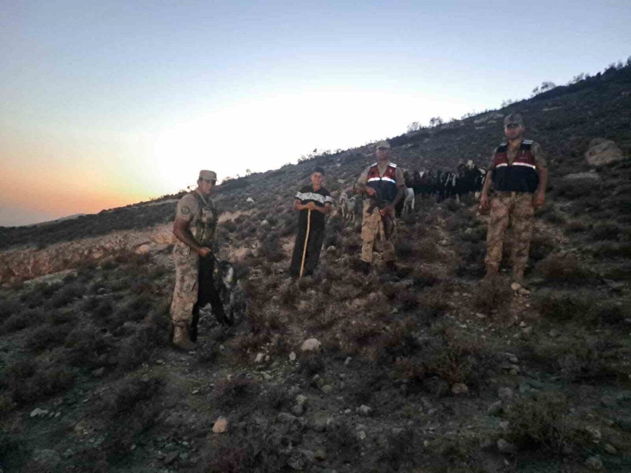 Kilis’in Polateli ilçesine bağlı Bağarası köyünde bir vatandaşa ait 26