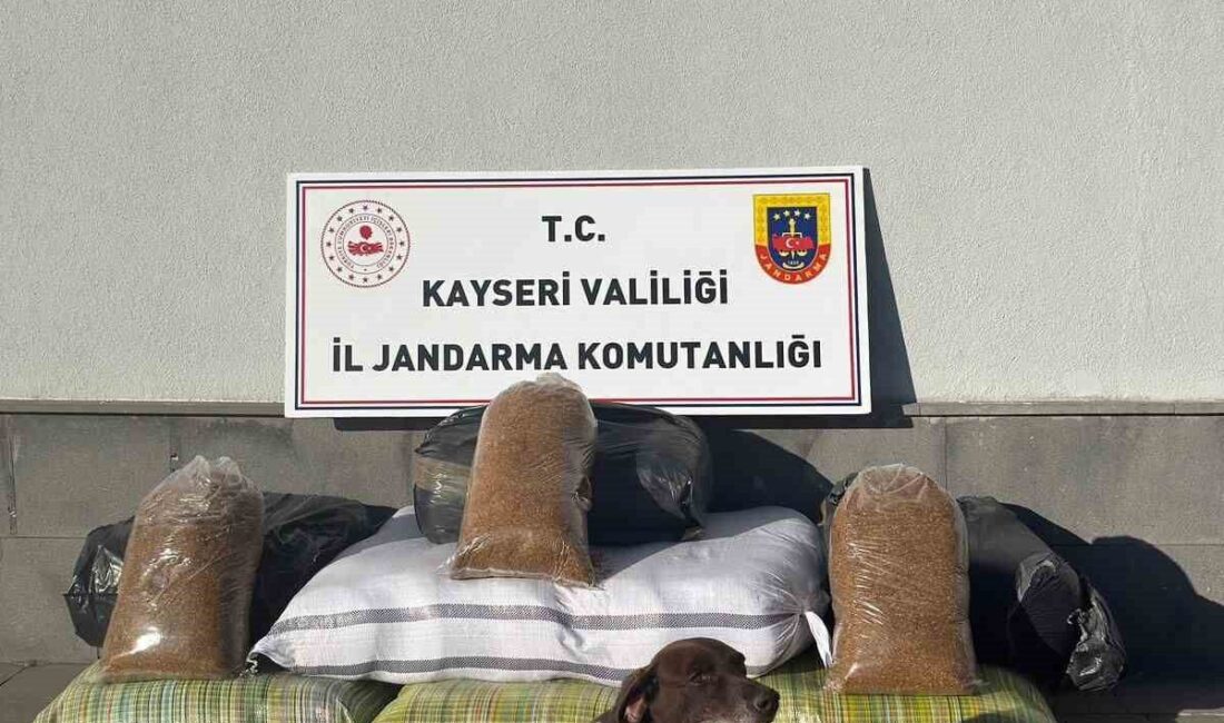 Kayseri’de jandarma ekipleri tarafından yapılan çalışmalarda; kimlik kontrolü için durdurulan