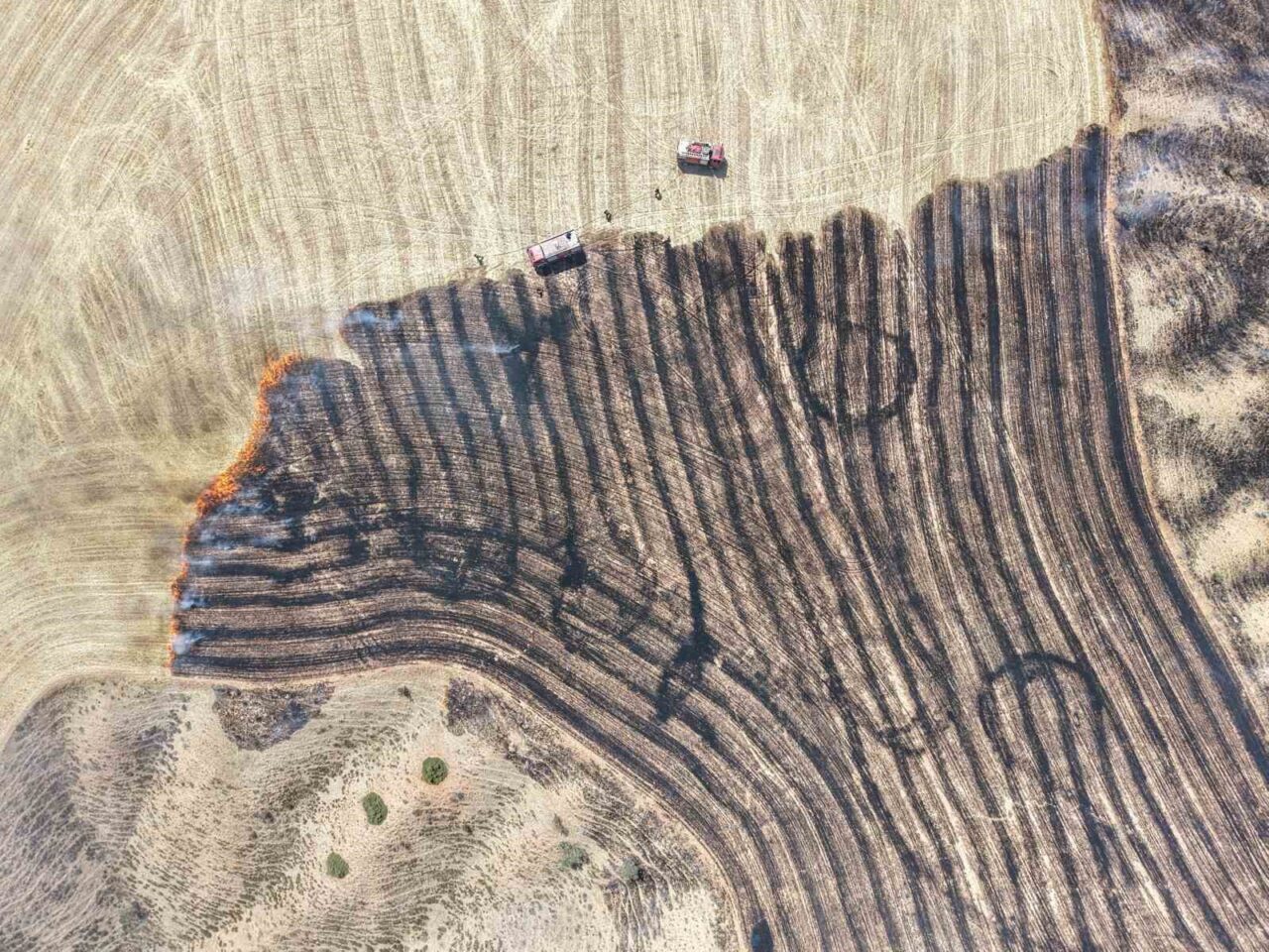 Kırıkkale’de çıkan anız yangınında çok sayıda yeni dikilen çam fidanı