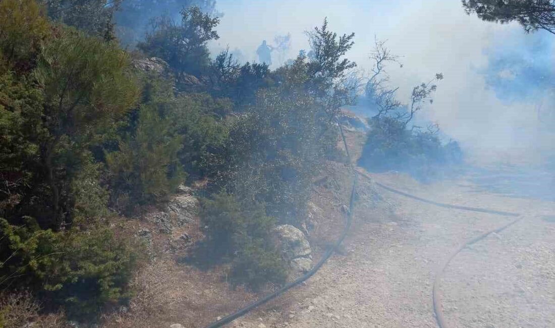 Manisa’nın Kırkağaç ilçesinde meydana gelen orman yangını İzmir Orman Bölge