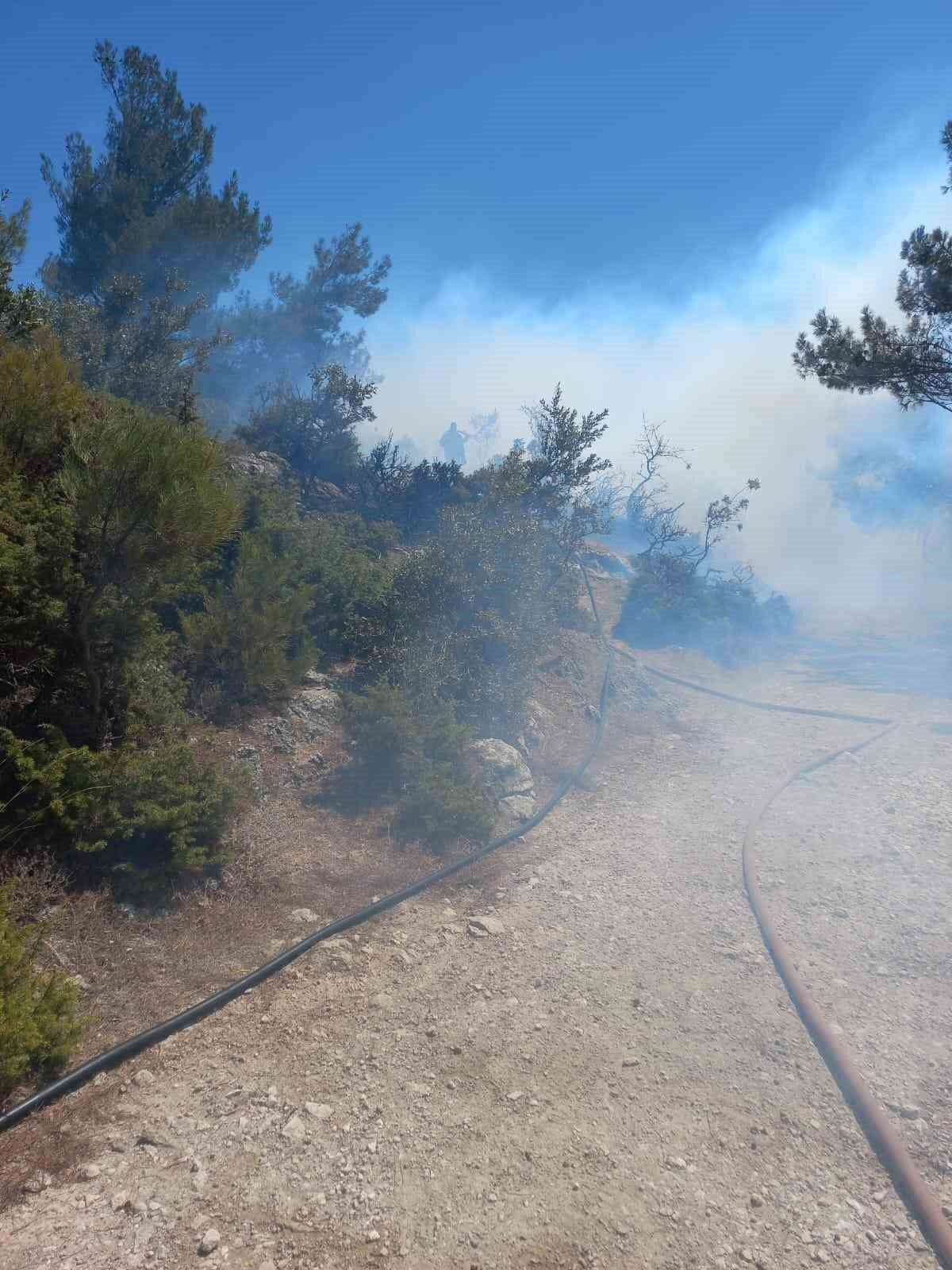 Manisa’nın Kırkağaç ilçesinde meydana gelen orman yangını İzmir Orman Bölge