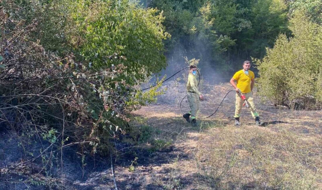 Kırklareli’nin Demirköy ilçesinde çıkan orman yangını, ekiplerin müdahalesiyle büyümeden söndürüldü.