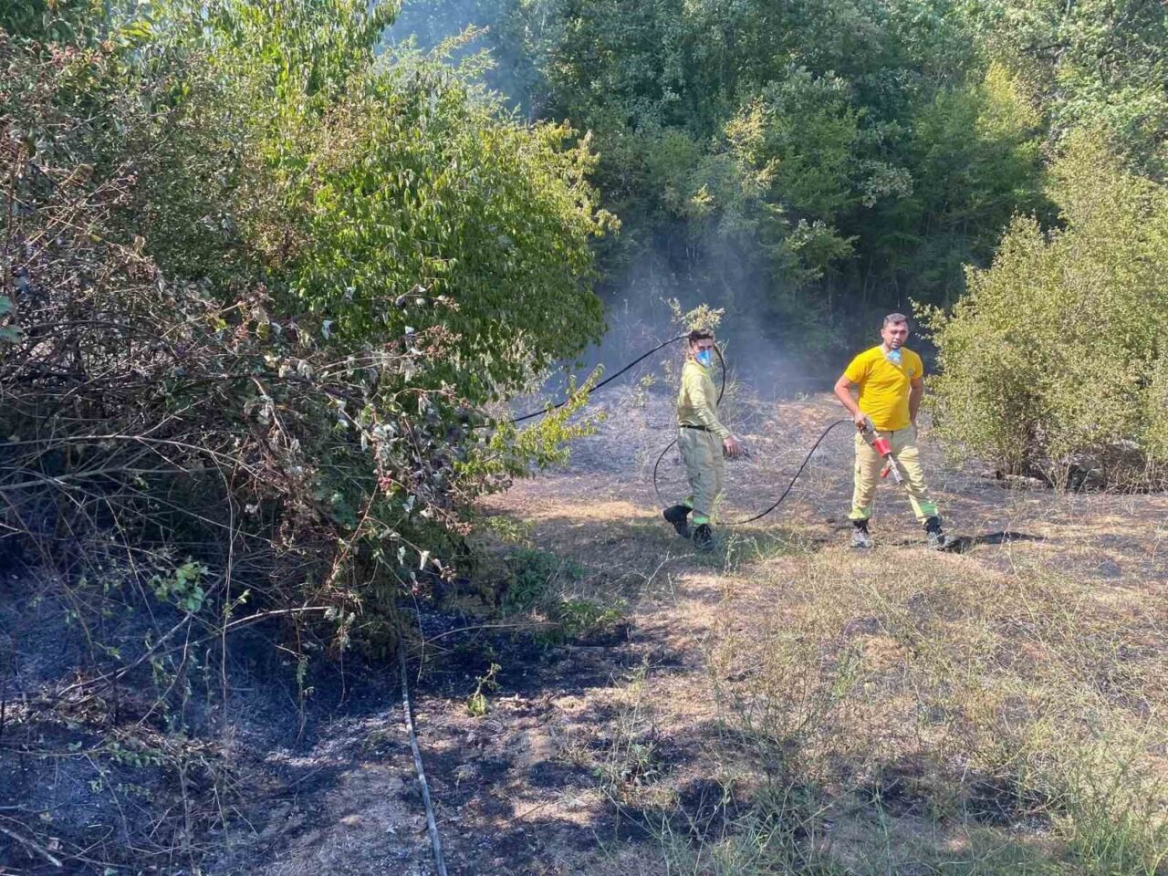Kırklareli’nin Demirköy ilçesinde çıkan orman yangını, ekiplerin müdahalesiyle büyümeden söndürüldü.