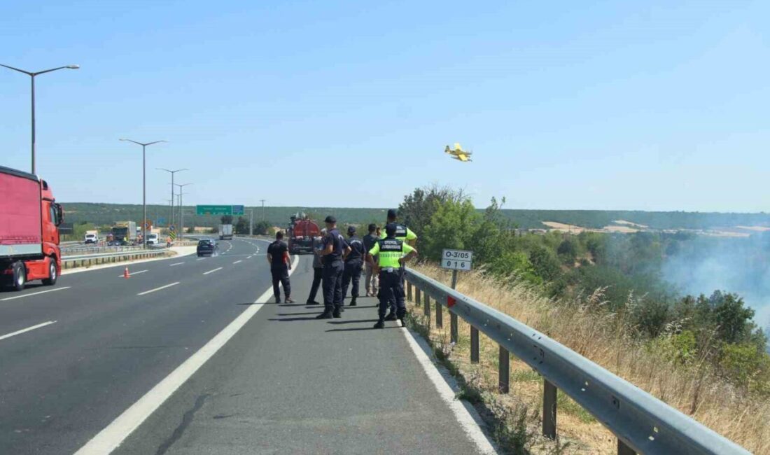 Kırklareli’nde anız alanında başlayan ve ağaçlık alana sıçrayan yangın söndürüldü,