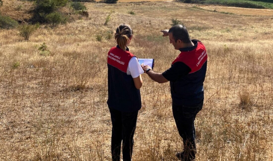 İlimizde, işlenmeyen tarım arazilerinin kiraya verilmesine ilişkin yönetmelik kapsamında, teknik