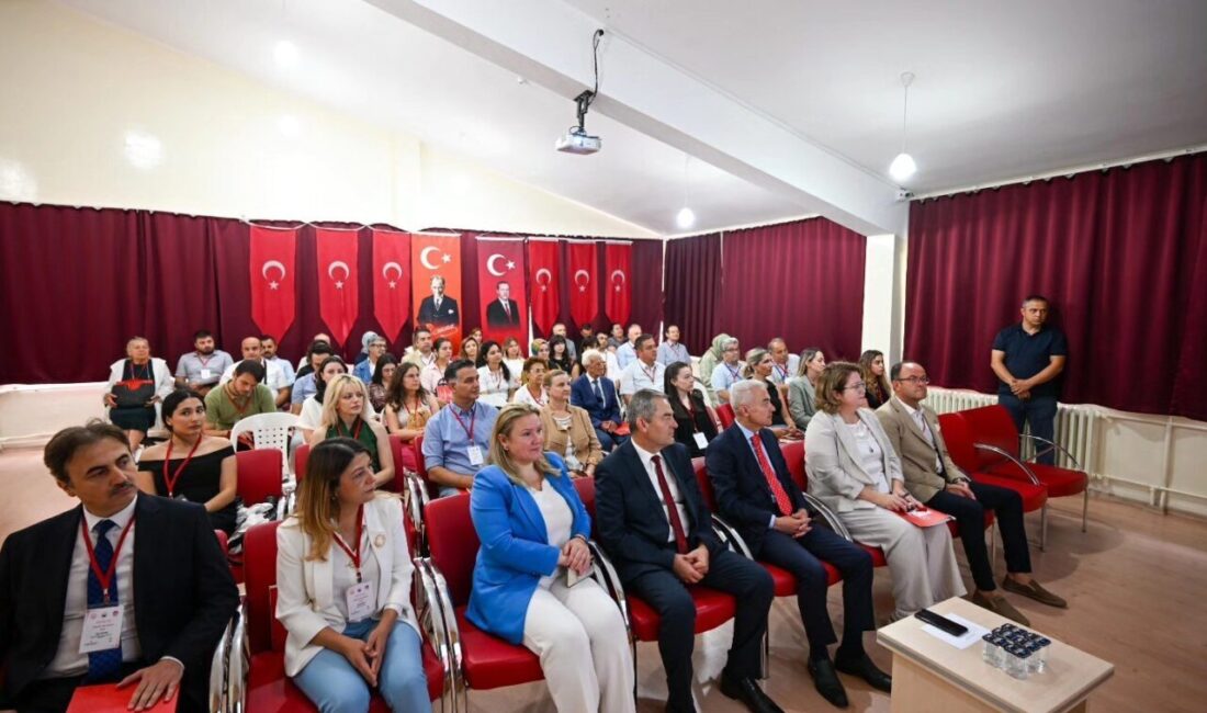 Türkiye İstatistik Kurumu (TÜİK) verilerine göre yaşlı nüfus oranı Türkiye