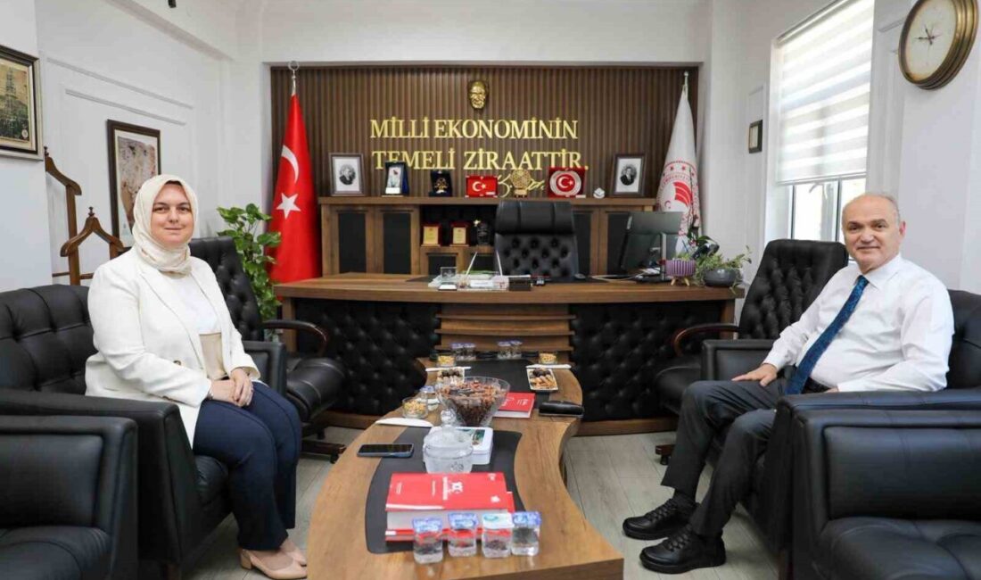 DÜZCE(İHA) – Düzce Belediye Başkanı DR. Faruk Özlü, tarımsal üretim