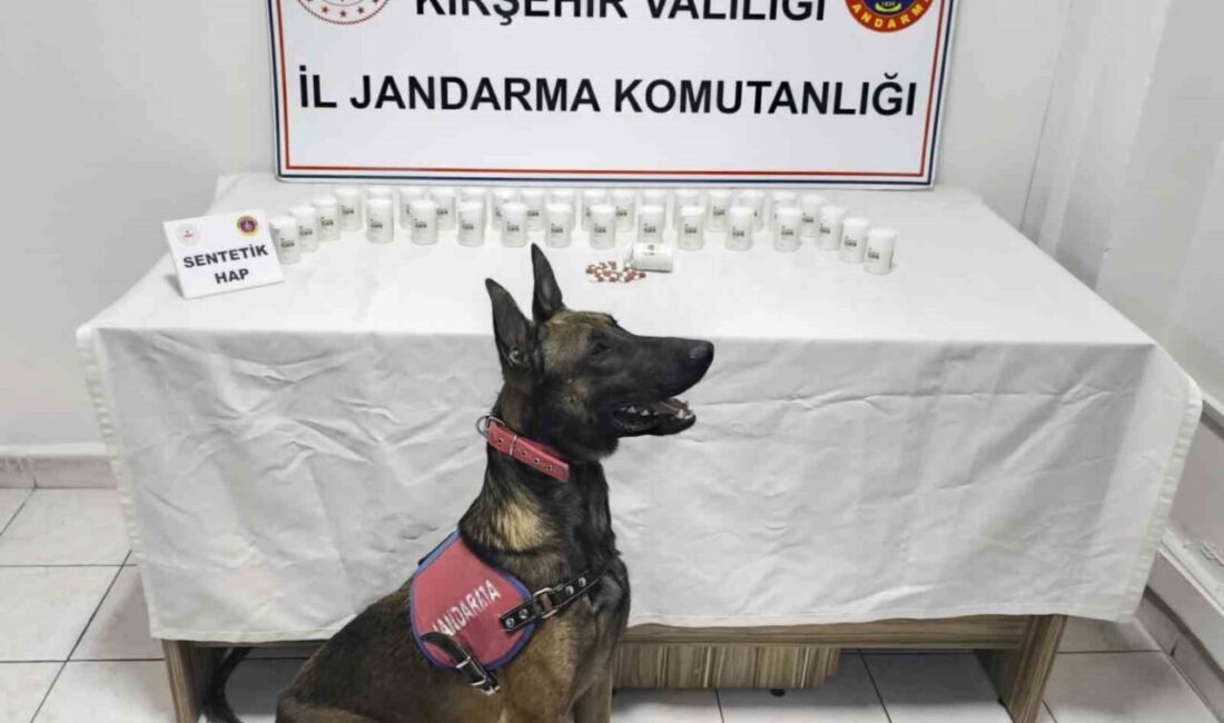 Kırşehir’de jandarma ekipleri tarafından düzenlenen operasyonda bin 823 adet sentetik
