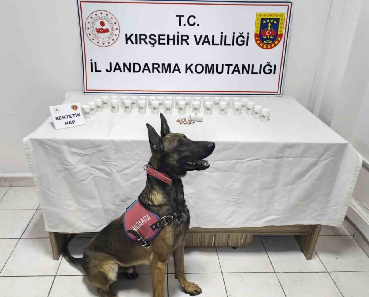 Kırşehir’de jandarma ekipleri tarafından düzenlenen operasyonda bin 823 adet sentetik