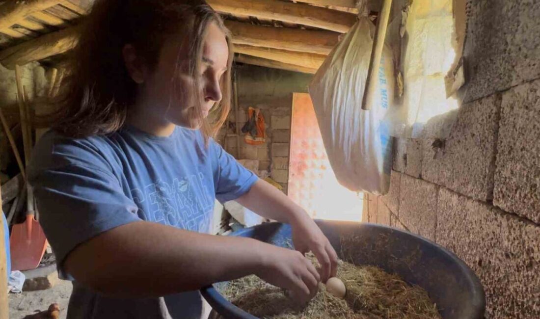 Muş’ta yaşayan ve bu yıl YKS sınavına giren Reyhan Özcan,