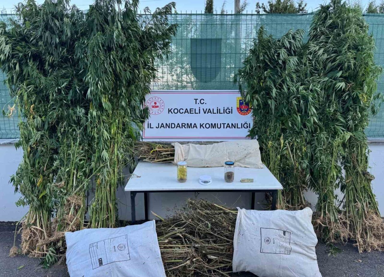 Kocaeli’nin İzmit ilçesinde yapılan operasyonda 12 kilo esrar ve 583