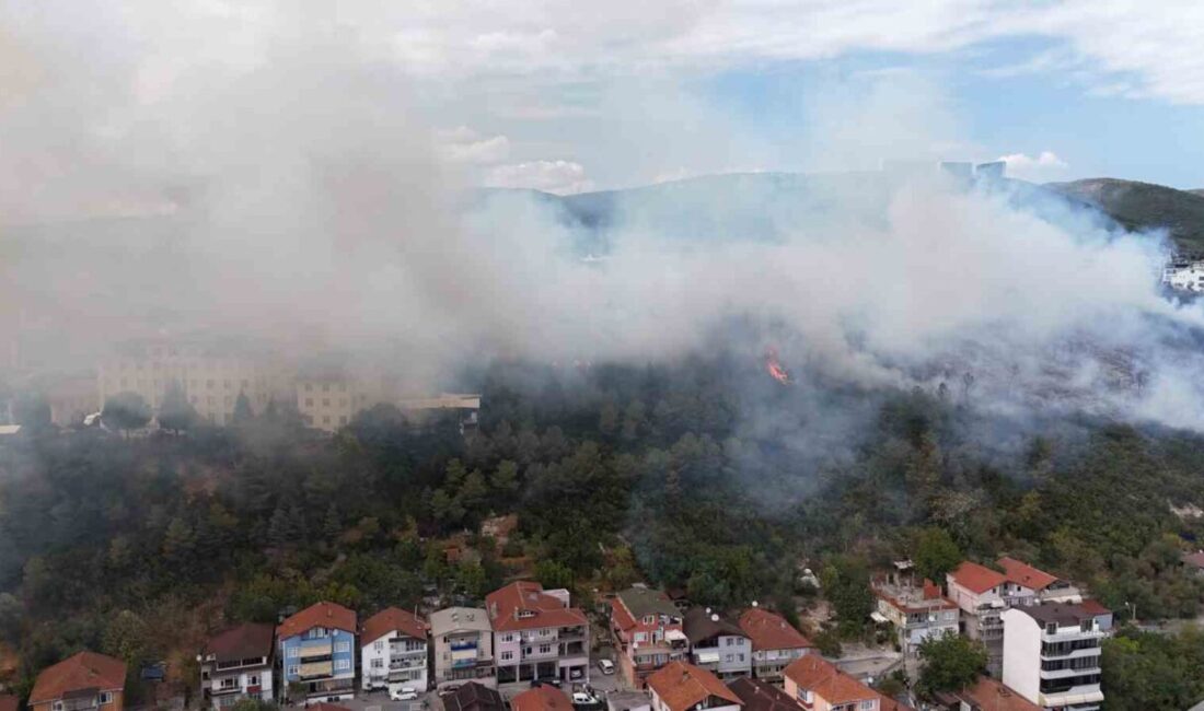 Kocaeli’nin İzmit ilçesinde ağaçlık alana sıçrayan yangın büyük kontrol altına