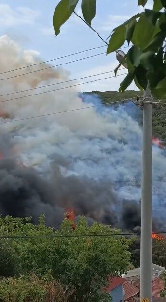 Kocaeli’nin İzmit ilçesi Kuruçeşme mevkiindeki ağaçlık alanda yangın çıktı. Olay
