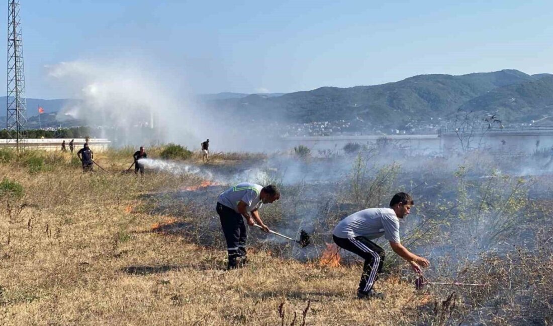 Kocaeli’nin Körfez ilçesinde bulunan otluk arazide yangın çıktı. Yangın itfaiye