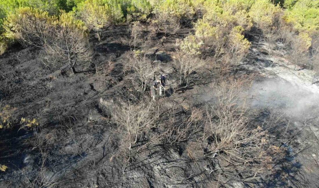 Kocaeli’nin İzmit ilçesinde ormanlık alanda çıkan yangın, itfaiye ekiplerinin hızlı