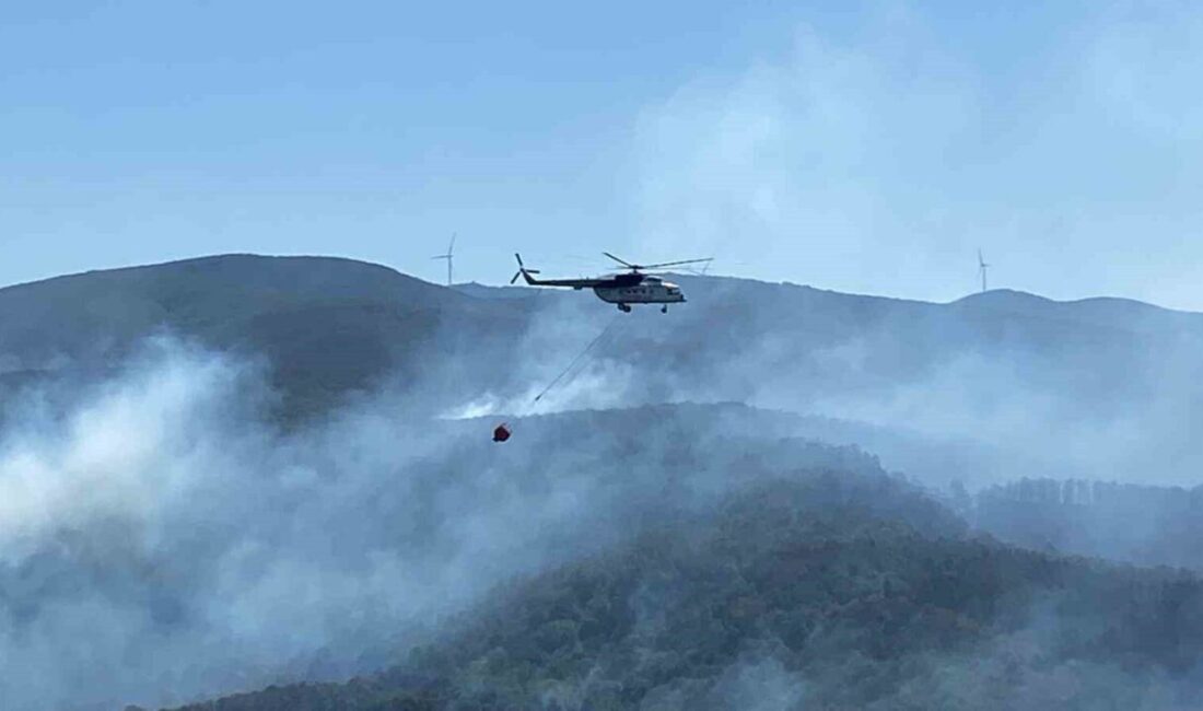 Kocaeli’nin Karamürsel ilçesinde çıkan orman yangınına karadan ve havadan yoğun