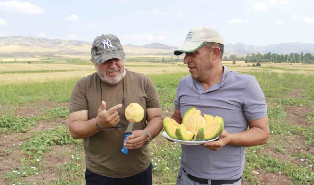 Yozgat’ın Aydıncık ilçesinde halk arasında ‘yer muzu’ diye adlandırılan ve