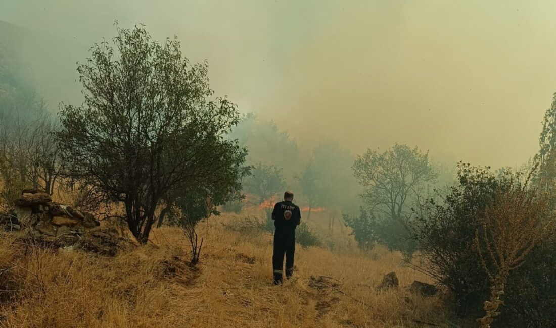 Konya’nın Hüyük ilçesinde otluk alanda çıkan yangın, ormana sıçramadan söndürüldü.
