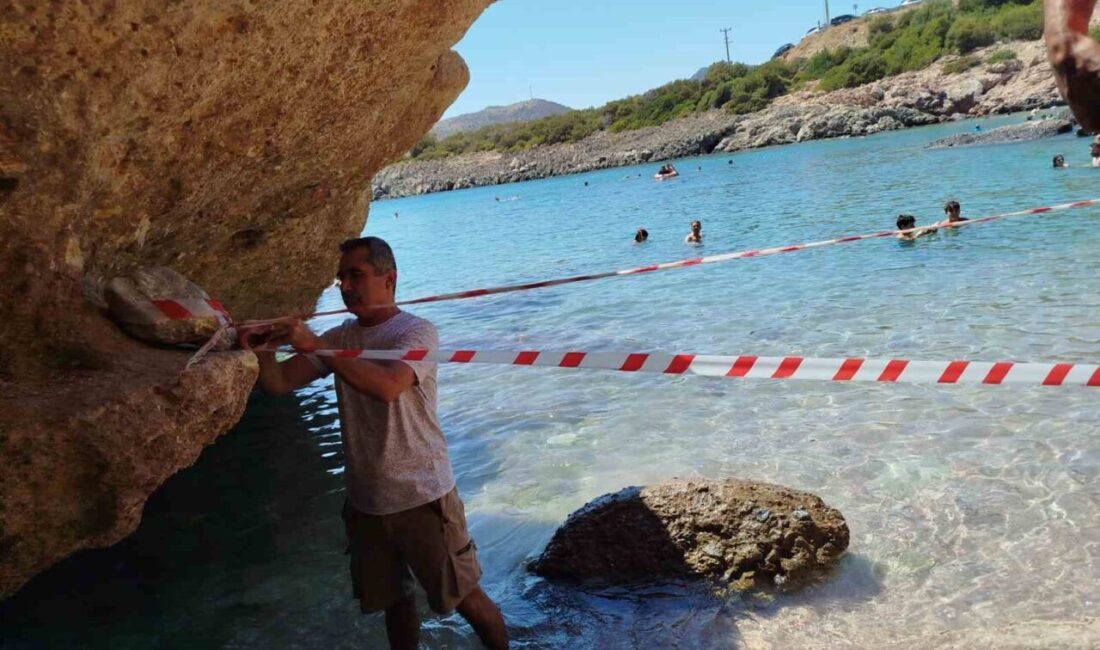 Muğla’nın Datça ilçesinde sahile çıkan ve vatandaşların dikkati sayesinde koruma