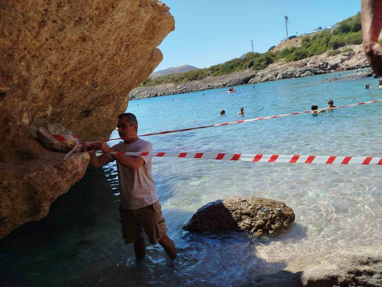 Muğla’nın Datça ilçesinde sahile çıkan ve vatandaşların dikkati sayesinde koruma