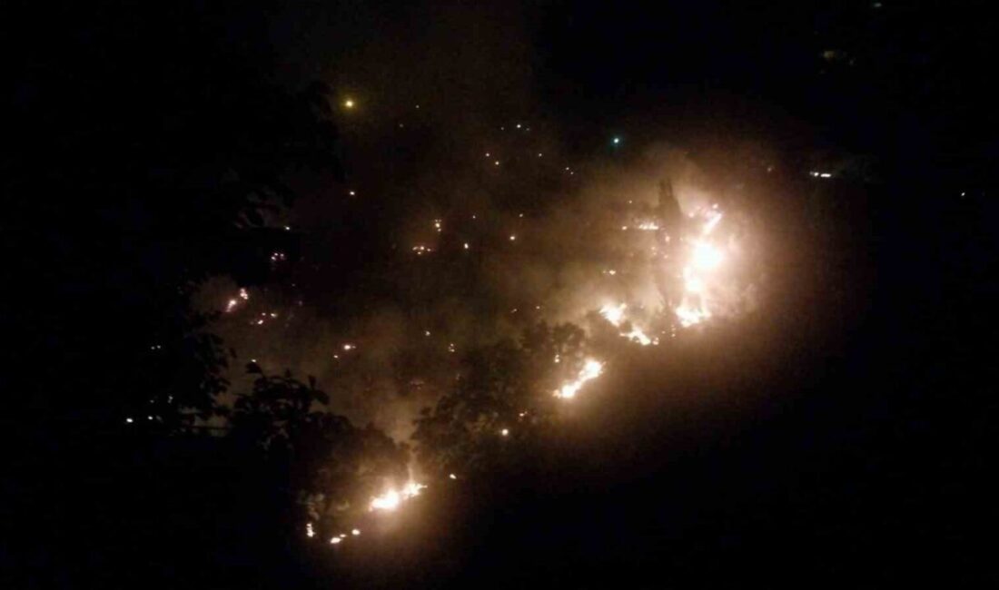 Aydın’ın Köşk ilçesinde akşam saatlerinde çıkan ve rüzgarın etkisiyle geniş