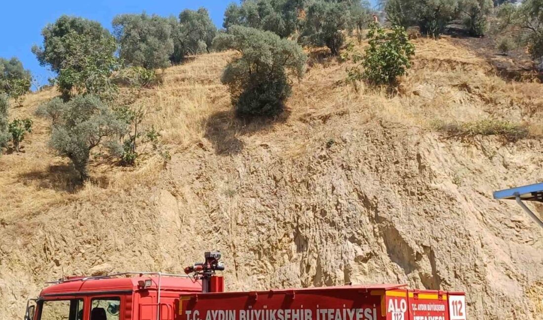 Aydın’ın Köşk ilçesinde zirai alanda çıkan yangın karadan ve havadan