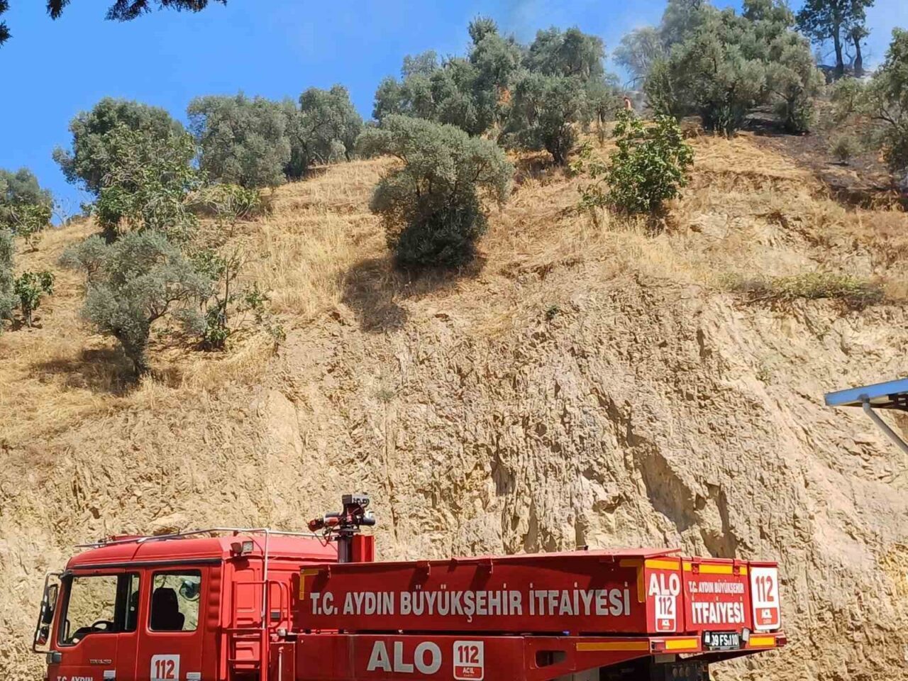 Aydın’ın Köşk ilçesinde zirai alanda çıkan yangın karadan ve havadan