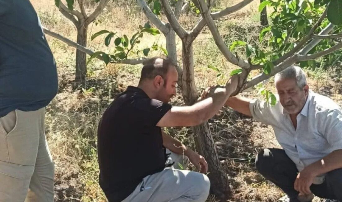 Elazığ’ın Kovancılar ilçesinde Tarım ve Orman İlçe Müdürlüğü ekipleri, çiftçileri