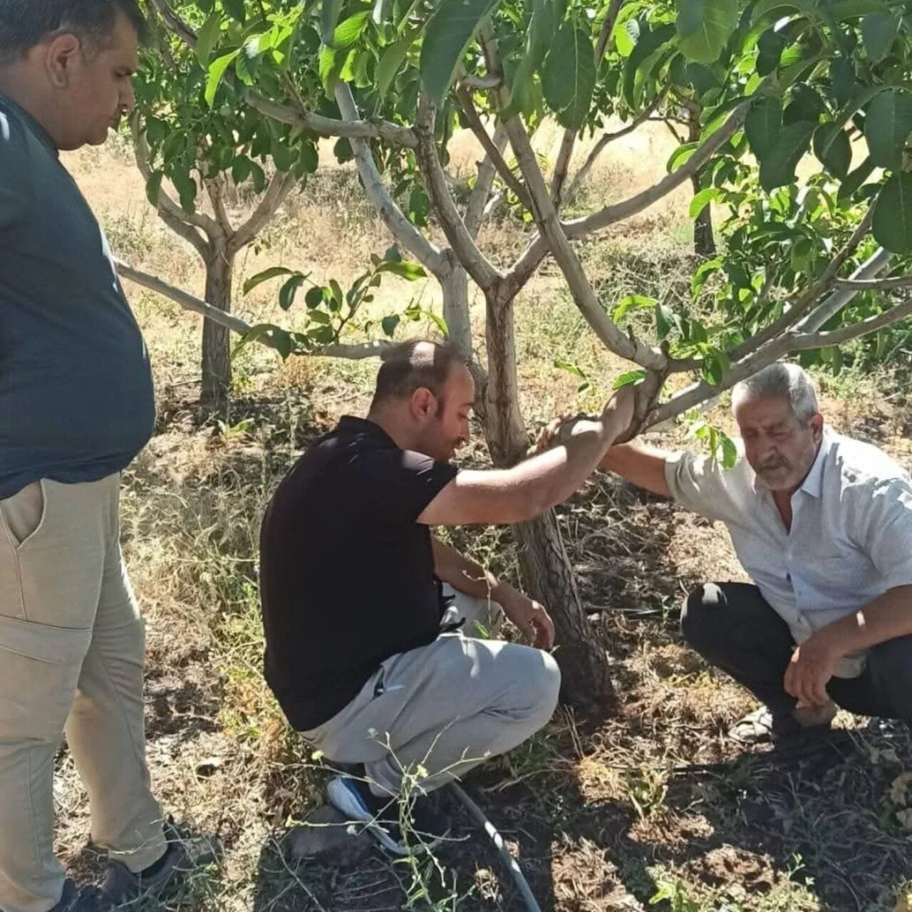 Elazığ’ın Kovancılar ilçesinde Tarım ve Orman İlçe Müdürlüğü ekipleri, çiftçileri
