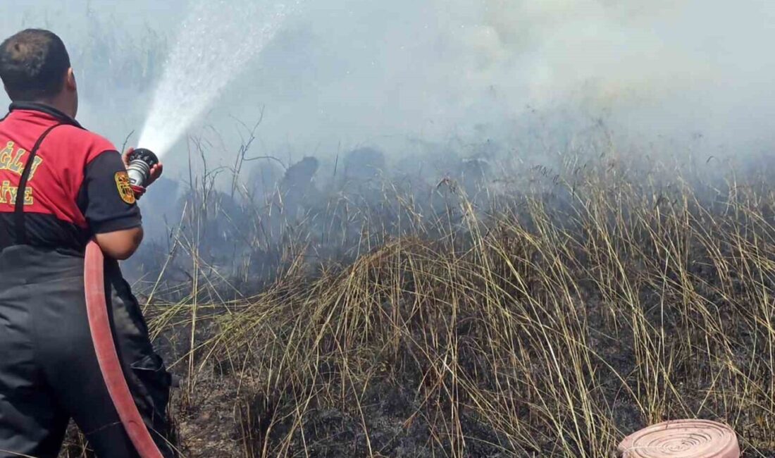 Muğla’nın Köyceğiz ilesinde göl kenarında başlayan sazlık yangını söndürüldükten sonra