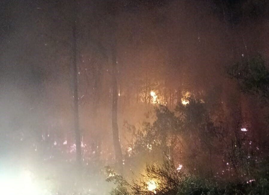 Muğla’nın Köyceğiz ilçesi Beyobası Mahallesi’nde çıkan orman yangını, ekiplerin hızlı
