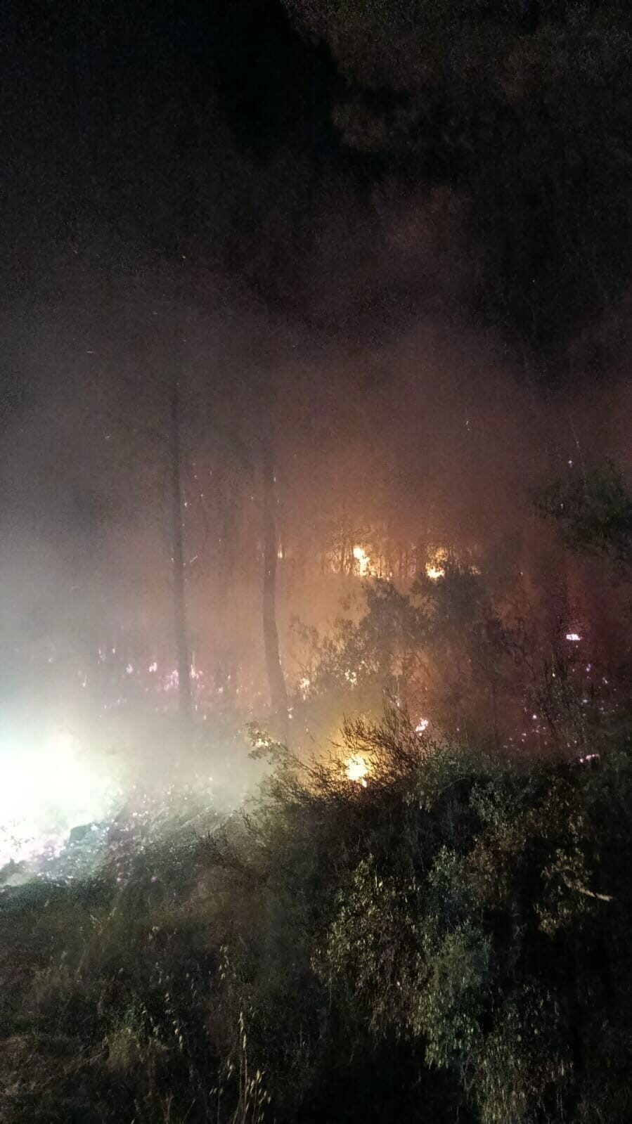 Muğla’nın Köyceğiz ilçesi Beyobası Mahallesi’nde çıkan orman yangını, ekiplerin hızlı