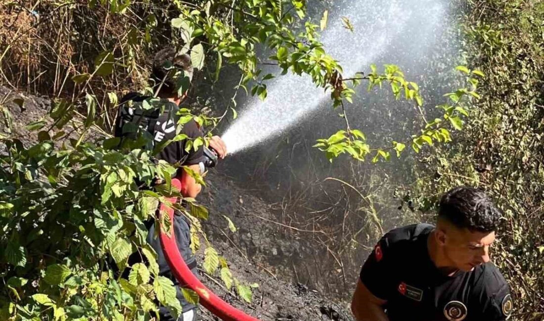Zonguldak’ın Kozlu ilçesinde çıkan anız yangını, itfaiye ekiplerinin müdahalesiyle kısa