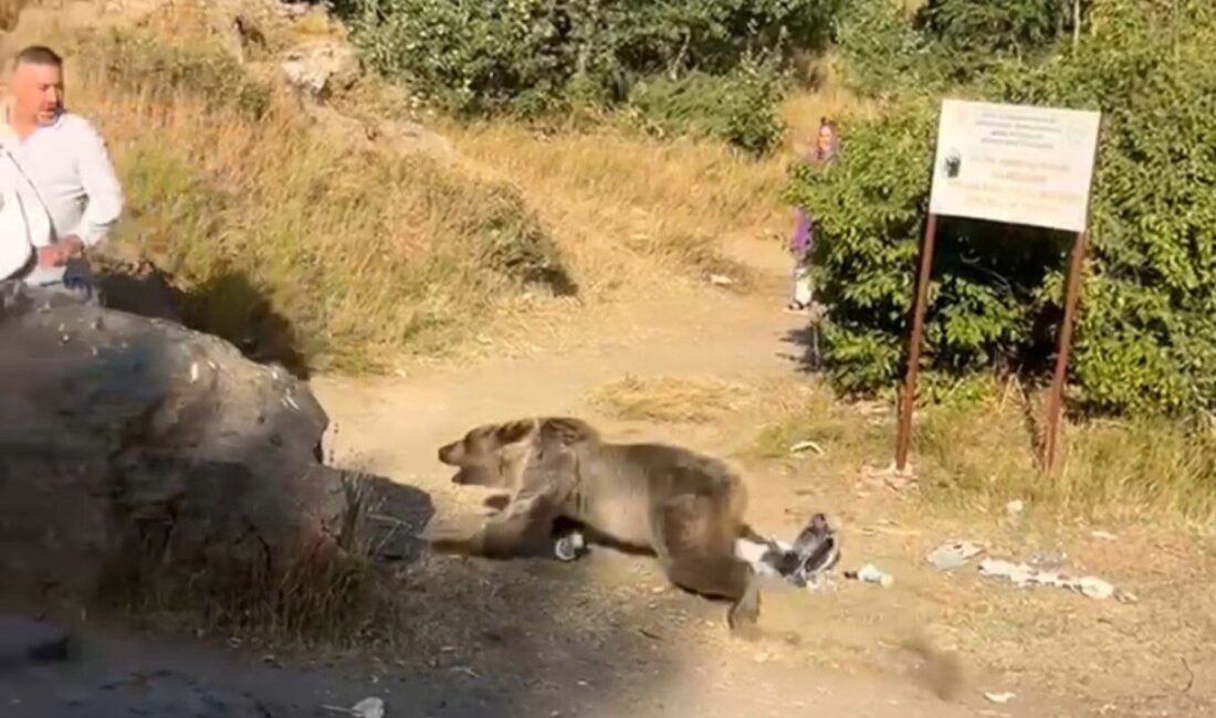 BİTLİS (İHA) – Bitlis’in doğal güzellikleri arasında yer alan Nemrut
