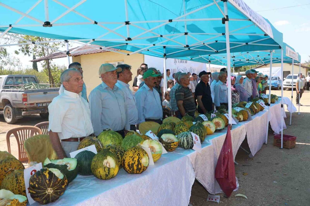 Manisa’nın Kula ilçesine bağlı Ayvatlar Mahallesi, bu yıl ilk kez