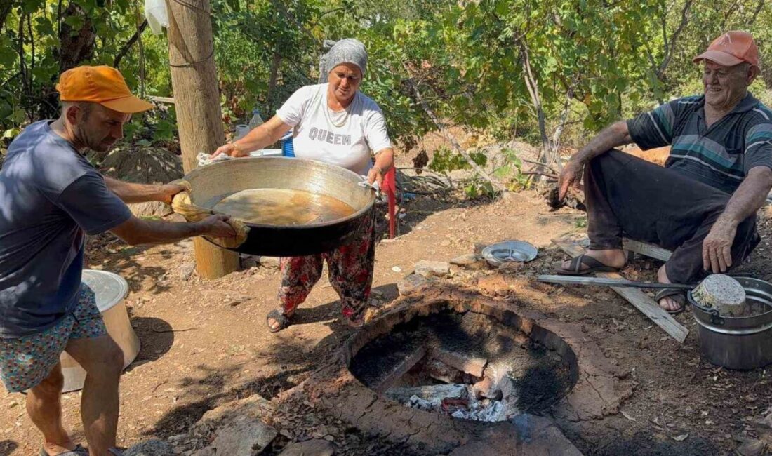 Antalya’nın Gazipaşa ilçesinde, geleneksel pekmez üretimi başladı. Aileler, bağlardan topladıkları