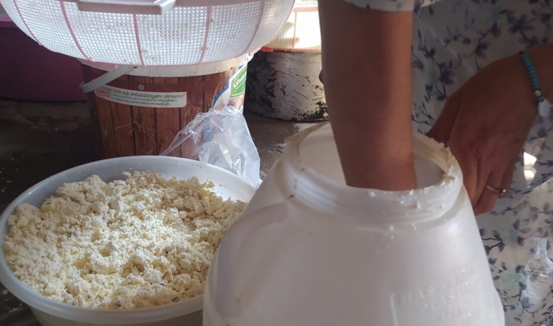 Ağrı’da yüzyıllardır sürdürülen ve nesilden nesile aktarılmaya devam eden önemli