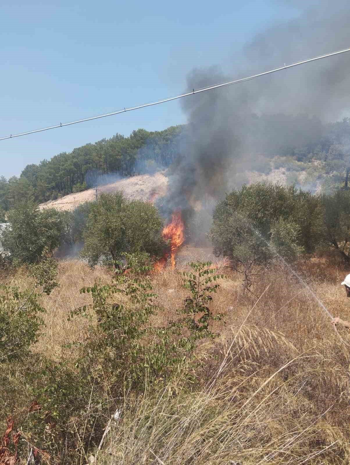 Kumluca’da çıkan yangında 1 dönümlük zeytin bahçesi zarar gördü. Antalya’nın