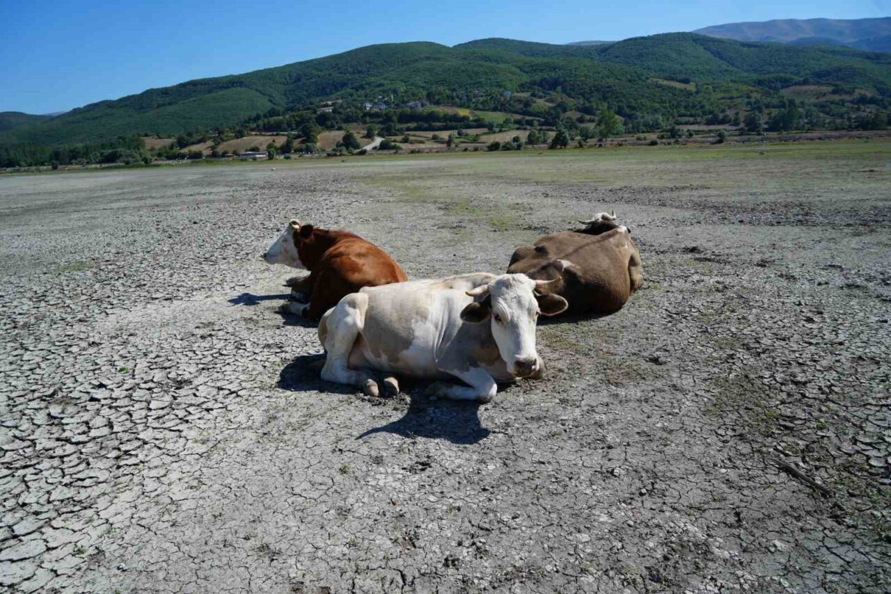 Son 25 yılda dörtte birinden fazlasını kaybeden Ladik Gölü’nde sular