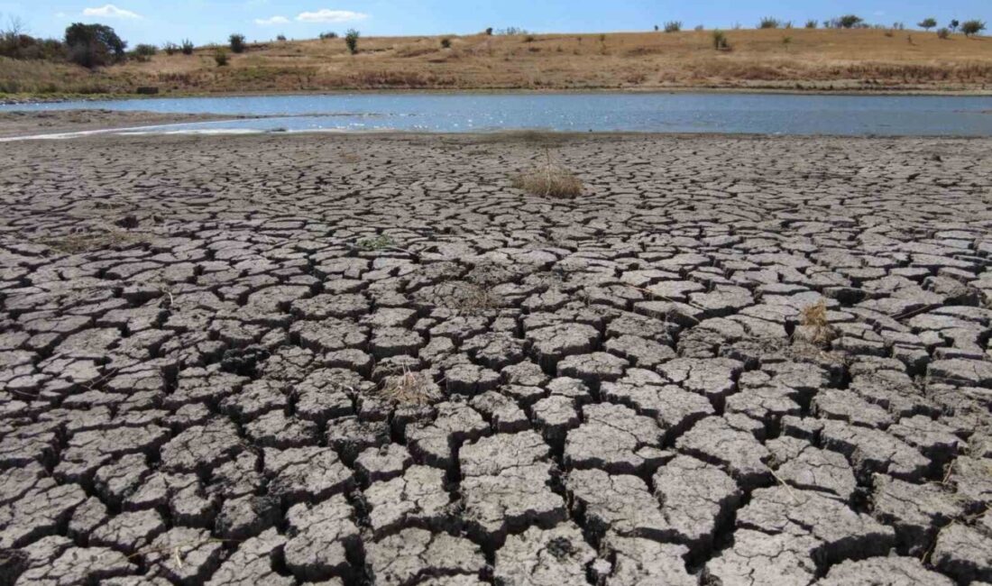 Edirne’nin Akardere Göleti’nde kuraklık nedeniyle derin çatlaklar oluştu. Edirne’nin Süloğlu
