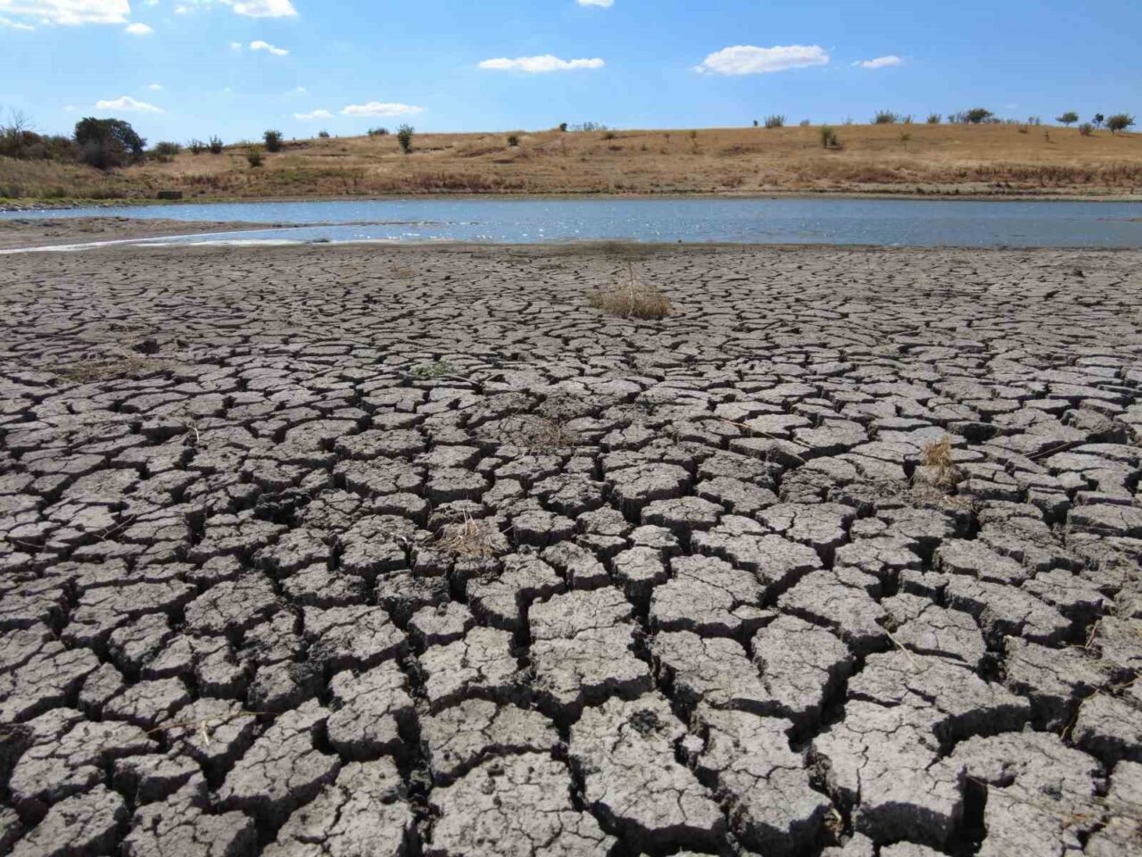 Edirne’nin Akardere Göleti’nde kuraklık nedeniyle derin çatlaklar oluştu. Edirne’nin Süloğlu