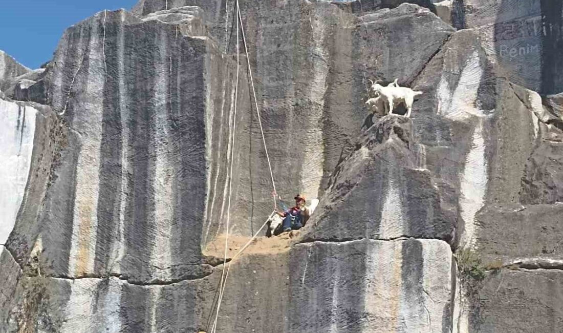 Kütahya AFAD ekipleri, Enne Mahallesi Tabiat Parkı bölgesindeki kayalıklarda mahsur