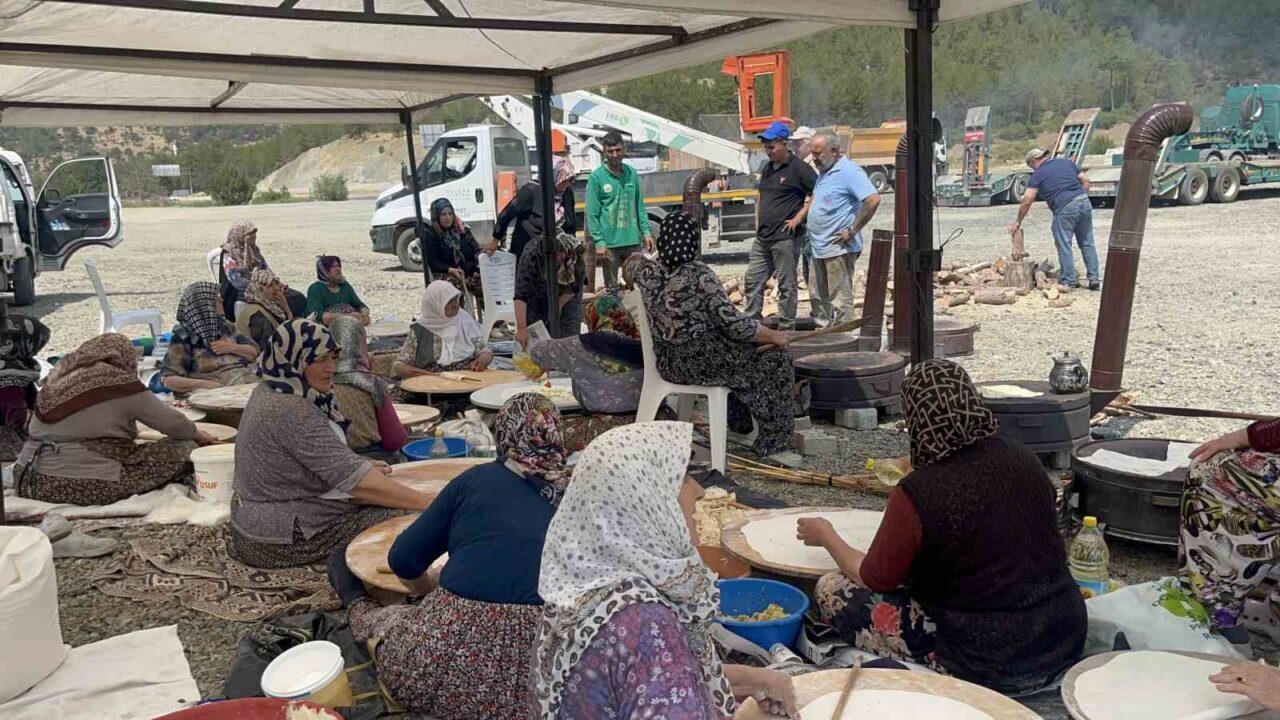 Kütahya-Bursa kara yolu üzerinde bir araya gelen kadınlar, orman yangınının