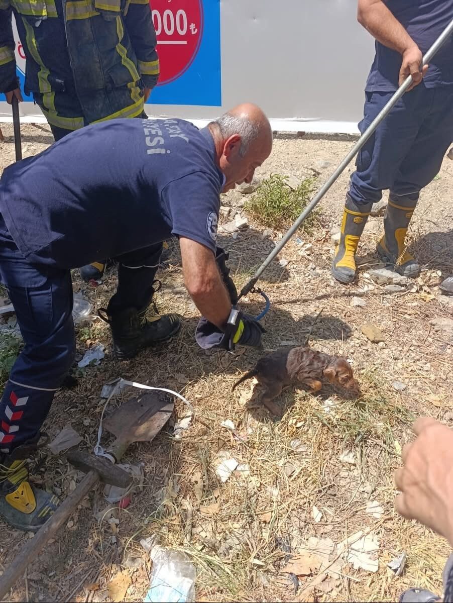 Hatay’ın Samandağ ilçesinde kuyuya düşen yavru köpek itfaiye ekipleri tarafından