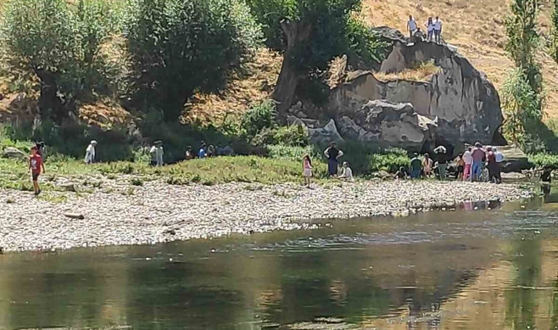 Nevşehir’de Kızılırmak’a düşen kuzenini kurtarmak için ırmağa giren ve boğulma