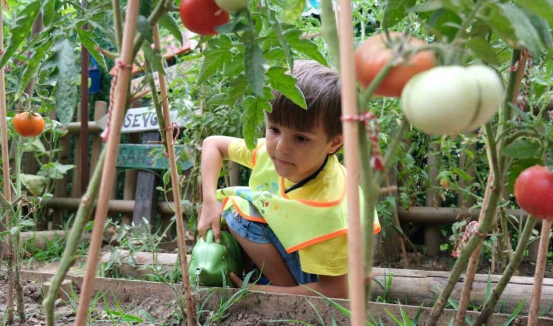 Kocaeli’deki Lokomotif Çocuk Köyü’nde, geleceğin doğa dostu bireyleri toprakla buluşmanın